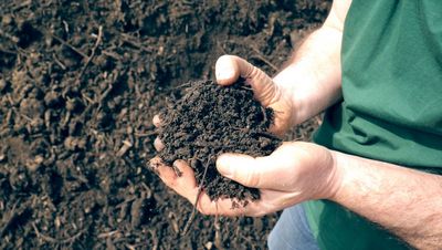 Gerald Dunst hält in der Hand fertigen Bio-Kompost