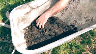 Gerald Dunst mischt in Scheibtruhe seinen Kompost vom Hausgarten