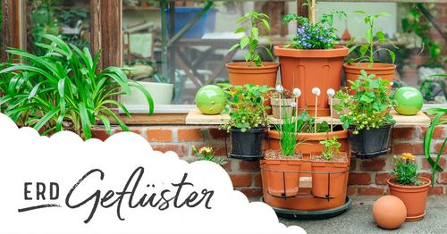 Balkon, Terrasse | Topfgarten auf engstem Raum für Gemüse, Kräuter und Blumen! | ErdGeflüster von Sonnenerde