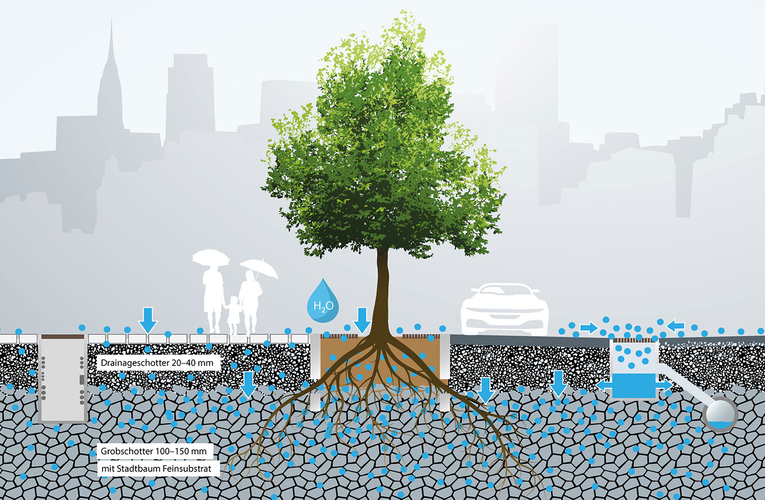 Die Zukunft der Stadtbaumpflanzung